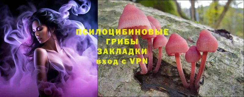 дарк нет официальный сайт  Бугульма  Псилоцибиновые грибы MAGIC MUSHROOMS 